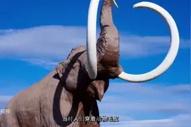 人为什么会恐高图片