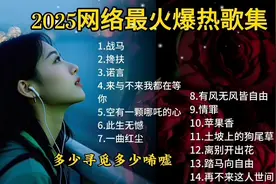 2025年网络最火爆热歌集，带你领略音乐的力量！图片