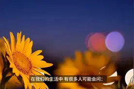 二维、三维、四维究竟是什么？图片