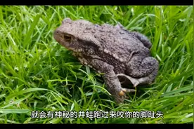 民间故事之奇闻怪谈图片