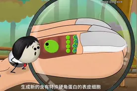 指甲没有根，为何能不断生长#原创视频图片