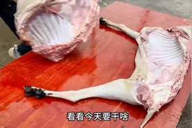 女婿在丈母娘家的一天，磨刀霍霍向猪羊图片