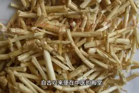 白茅根的作用与功效图片