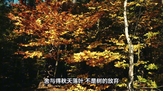 大自然，人类心灵的启示
