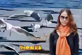 男人们，当你们遇到老婆查岗了，会怎么应付？图片