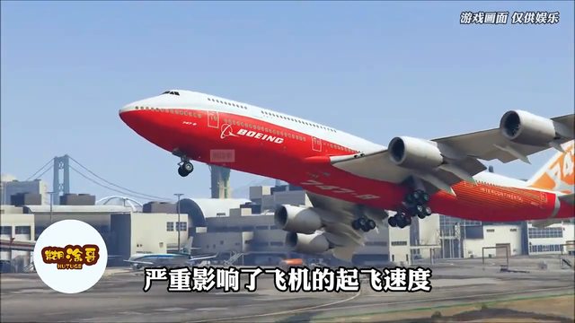 模拟器：飞机竟无视狮群堵路，强行加速起飞，会出意外吗？