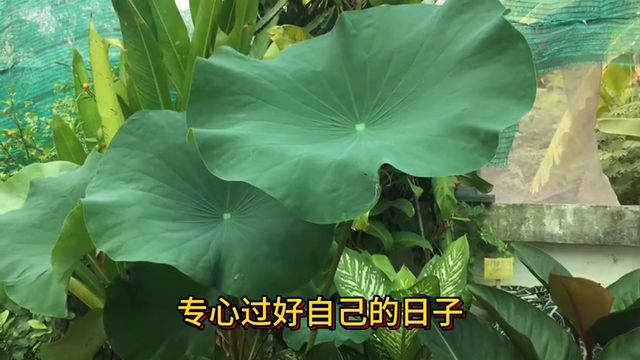 突然发现，退休后有远见的人，都在做3件事，越做人越旺