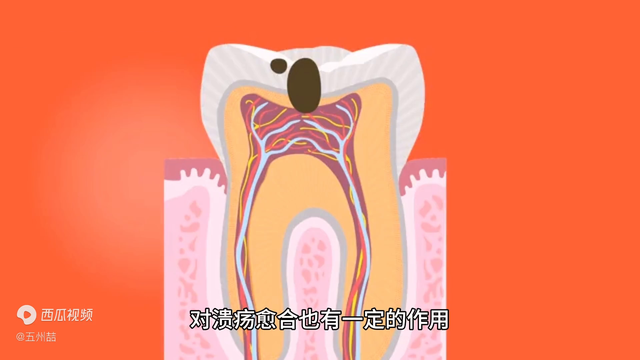荆花胃康胶九治胃病的效果 2026年荆花胃康胶丸功效及副作用