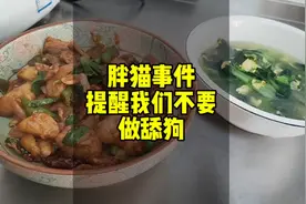 胖猫事件提醒我们不要做舔狗。图片