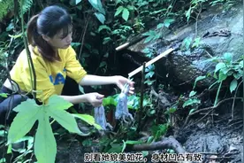 美女荒野求生，为自己打造豪华婚房，徒手抓青蛙烤着吃图片