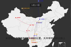 昆明海鸥迁徙图 昆明海鸥的8000公路的迁徙路线，每年飞几个月。图片