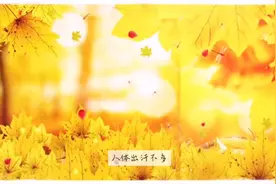 秋季养发最佳时机图片