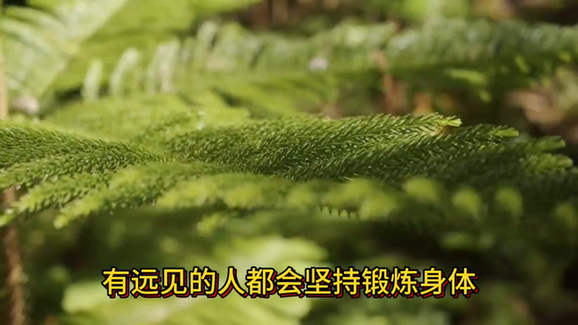 突然发现，退休后有远见的人，都在做3件事，越做人越旺