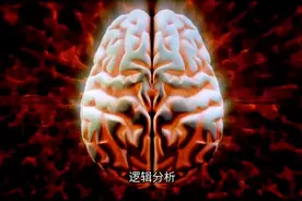 详解大脑细分功能区的名称及其生理功能图片
