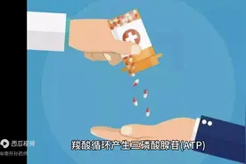 辅酶Q10的8大临床应用，一文总结：图片