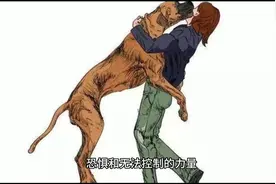 周公解梦之老年人梦见被狗咬出血，老年人梦见被狗咬伤，咬出血图片