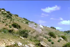 今天野猪发动技能直接给桑彪的腿废了图片