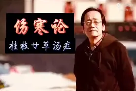 倪海厦伤寒论41--桂枝甘草汤症图片