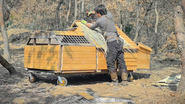 造个移动鸡窝，带着小鸡去旅行#农场