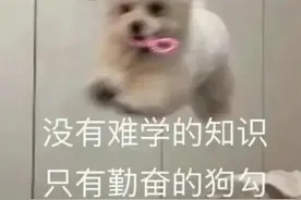 考公务员是国考好还是省考？图片