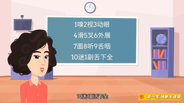 医学生必看！3分钟速记12对脑神经
