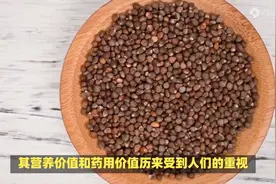 紫苏子籽生吃还是熟吃好图片