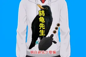 养龟神药不用多，有这三种就够用，便宜好用的乌龟生病后用...图片