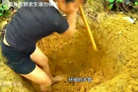 美女越南丛林荒野求生，第二天就捕获到了野猪#荒野求生图片