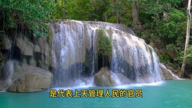 探索森林的秘密，解密文明基因密码