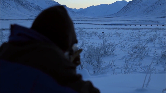 阿拉斯加生存法则：导游小伙儿狩猎野鹿来维持冬季生活