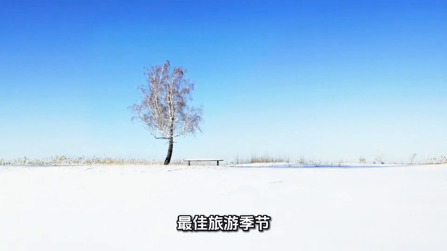 上海乐高乐园度假区旅游攻略