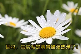 耳鸣，其实就是脾胃被湿热淹了图片