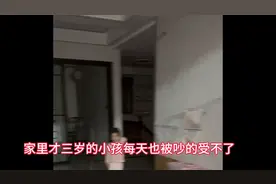 一晚上叫不停的鸡，恶臭难忍，该如何解决#养鸡#恶臭#扰民图片