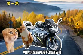 20款千元预算跑车 肯定有你喜欢的一款#赛羽#骑车去撒野图片