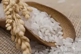 大米放在密封的容器里时间久了会生虫。是不是所有的米都有...图片