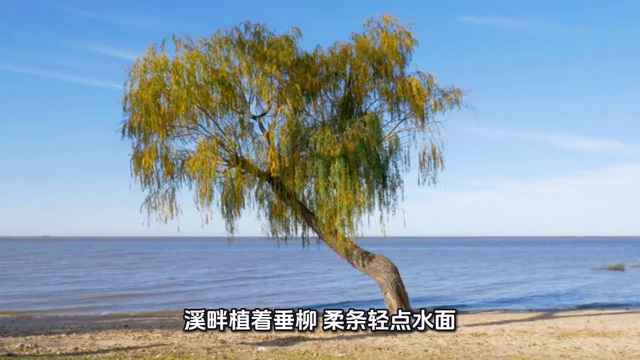 御苑叠翠：皇宫花园游览记。