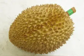 金枕、干尧和猫山王的榴莲应该如何区分？图片