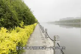 《黄帝内经》养生之智慧-生之本 本于阴阳图片