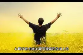 周公解梦：梦见猪是什么意思？图片