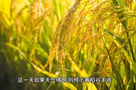 正月初八 被视为开业的好日子，寓意生意兴隆、四季发财图片