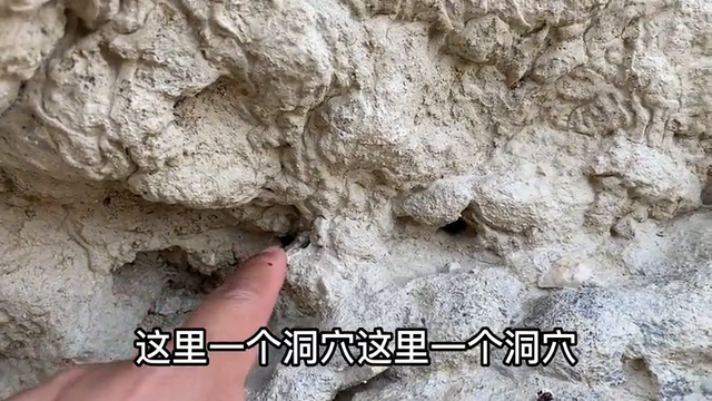 百年老城墙存在安全隐患，连续蜇伤20个村民，实在不行就报警处理