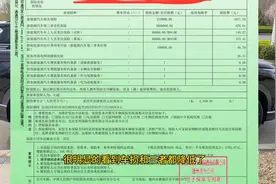 比亚迪新能源车的保险是不是一年比一年贵图片