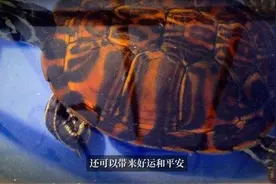 镇宅又添财，6个技巧提升风水效果！图片