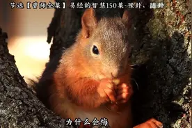 曾仕强：马屁精没有好下场图片