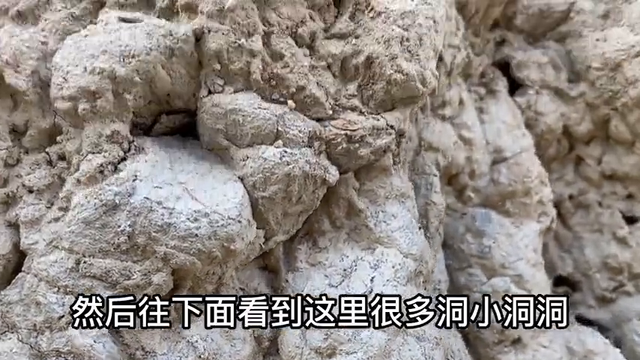 百年老城墙存在安全隐患，连续蜇伤20个村民，实在不行就报警处理