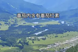 常吃最健康的食品可以延年益寿！图片