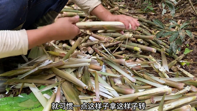 竹笋快速去壳有技巧，方法很简单，看一遍就会