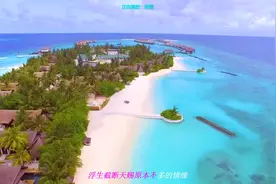 经典歌曲 听歌声沉浸在情感的海洋 怀旧经典老歌二十首原唱图片