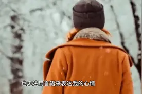 我说不出来我有多难过，也无法用言语来表达我的心情图片