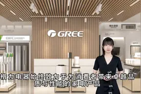 格力电器小家电团购礼品批发，是您家电采购的一站式解决方案图片